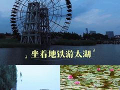 -太湖湖滨国家湿地公园-停车场