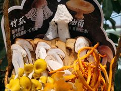 新鲜野生菌菇-俏立方·15年新楚菜