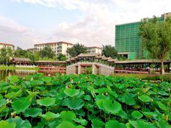 -西海子公园