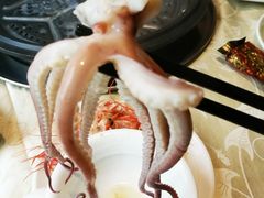 -越百海海鲜蒸锅(乐山店)