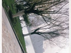 -天鹅湖体育公园