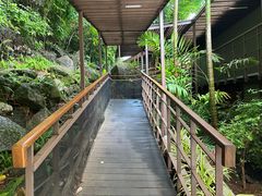 -普吉岛凯悦酒店