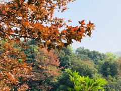 -广州市白云山风景名胜区