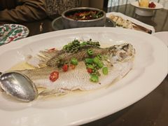 -海派悦庭·海胆烧麦·新融合菜(凯德广场店)