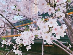 -新天地活力PARK