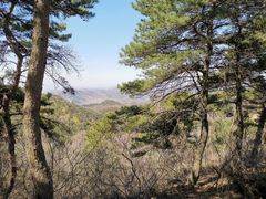 -鲁山国家森林公园