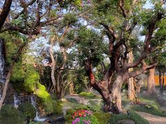 -Chom Cafe and Restaurant