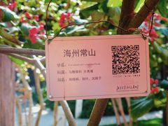 -北京市劳动人民文化宫(太庙)
