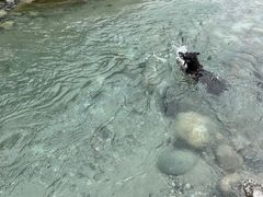 -虹口漂流