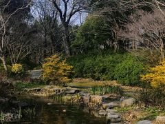 -上海滨江森林公园