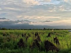 -秦岭风景区