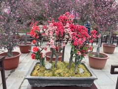 -陶然亭公园