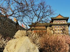 -北京明城墙遗址公园