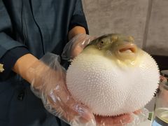 -肆月河豚·新淮扬(金融街店)