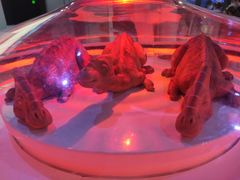 -侏罗纪世界电影特展(广州站)