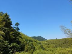 -藏龙百瀑风景区