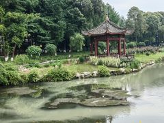 -温江公园