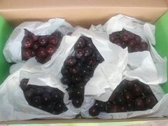 -美家乐农庄·露营·团建(大治路店)
