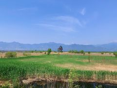 -野鸭湖国家湿地公园