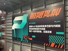 -极限PLAY运动娱乐新世界·团建派对潮玩休闲馆·室内蹦极高空游乐园