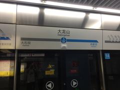 -大龙山(地铁站)