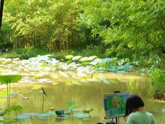 -大屏嶂森林公园