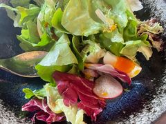 -LES ELITES 英集荟(南京西路店)