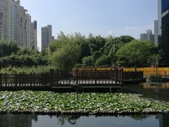 -苏州河梦清园环保主题公园