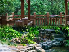 -广州白江湖森林公园