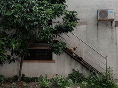-幻彩摩天轮