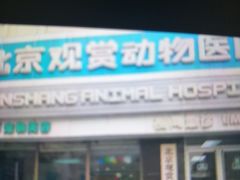-北京观赏动物医院·24小时大型综合·猫专科·异宠专科