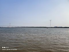 -章记正宗南岗鱼蛋火锅