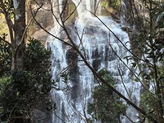 -海南热带雨林国家公园吊罗山景区