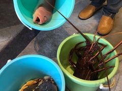 -小白鲨工夫潮膳(曲江店)