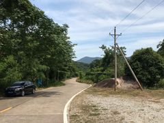 -海南霸王岭国家森林公园