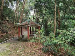 -飞霞风景名胜区