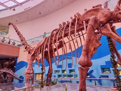 -陕西自然博物馆