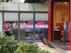 -有喜胶东小馆(太申祥和店)
