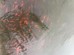 -迎泽公园