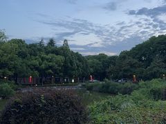 -南京国际会议大酒店