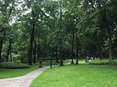 -广州珠江公园