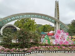 -南山植物园