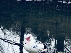 -白水寺森林公园