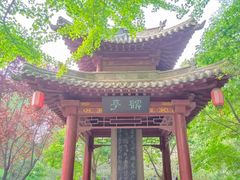 -碑林公园