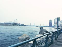 塘沽海河外滩公园-海河外滩公园