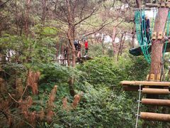 -芦仙山景区-飞越丛林探险乐园