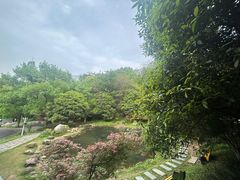 -潜山国家森林公园