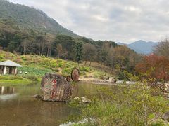 -广州市石门国家森林公园