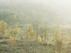 -塔川景区