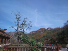 -大连天门山国家森林公园